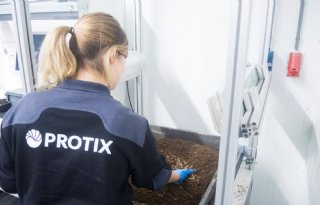 Samenwerking Agrifirm en insectenproducent Protix