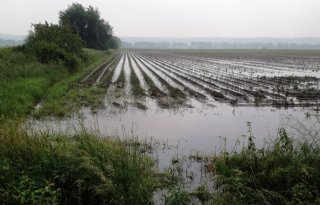 Boeren eisen miljoenen voor wateroverlast