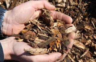 Steeds meer glastuinbouwbedrijven met biomassaketel