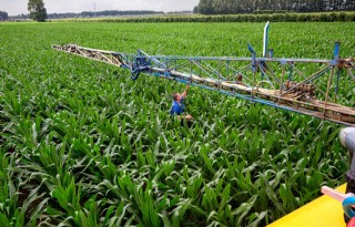 Vervolg voor 'Grondig boeren met mais' in Drenthe