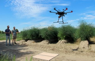 Drone en plantsapmetingen voor precies bemesten