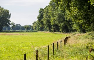 VNC: Gelderland moet Veluwse landbouwenclaves behouden