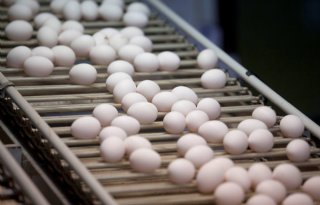 Prijswijzer biedt inzicht in prijsopbouw eieren