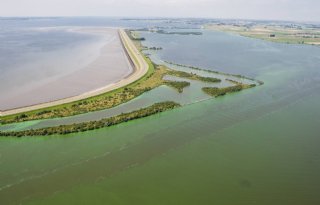 Hollandse Delta plaatst noodpompen vanwege blauwalg