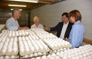 Geurts wil opheldering over fipronil-affaire