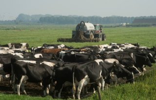 Koeien &amp; Kansen: afbouwen derogatie kost pilotbedrijven minstens 30.000 euro