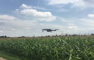 Boeren+mogen+met+drones+zoeken+naar+wiet