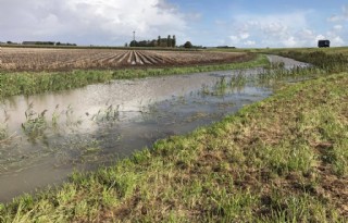 Waterafvoer zorgt voor problemen bij Friese boeren