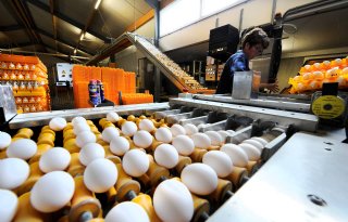Consument hamstert eieren vanwege corona