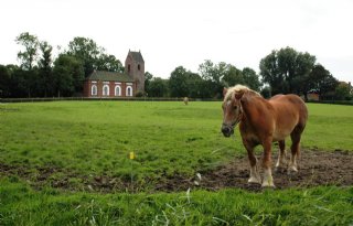 Sloet leidt deskundigen keurmerk Paard en Welzijn