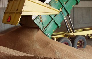 Rusland exporteert 20 procent meer tarwe