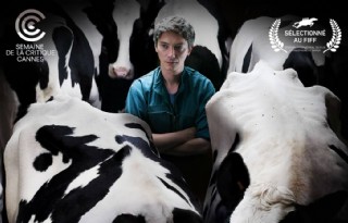 Frans filmdrama belicht strijd tegen ruiming veestapel