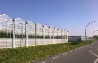 Oostland+zet+stap+naar+klimaatneutrale+tuinbouw