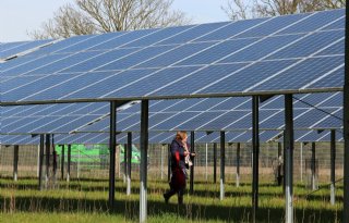 Provincie wil grootschalig zonnepark op Distriport
