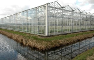 WUR ontwikkelt handzame nitraatmeter glastuinbouw