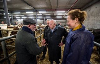 Friese gedeputeerden bezoeken veemarkt