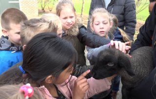 Buitenlesdag+op+de+boerderij