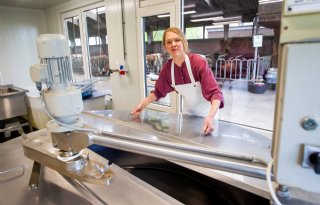 Luring ziet kansen voor kaasmakerij in Onstwedde
