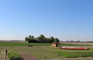 Bildtse+akkerbouwer+verbouwt+50+tinten+groen