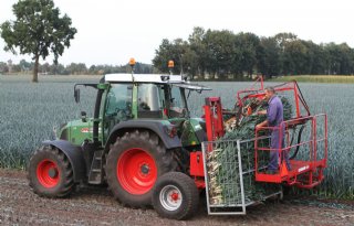Minder akkerbouw en groenten in Vlaanderen
