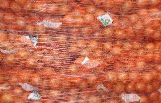 Meer dan 100.000 ton uien naar Ivoorkust