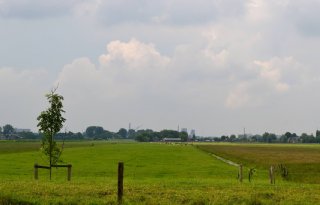 Zuid-Holland steekt 5,9 miljoen in duurzame landbouw