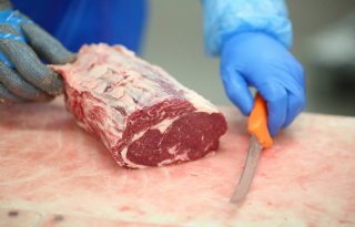 STAF eist dat planbureau effect vleesconsumptie verder bijstelt