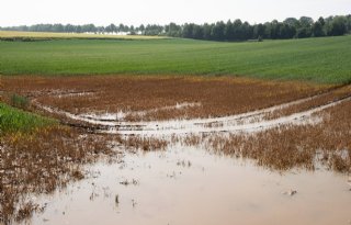 Erosie zorgt in Vlaanderen voor veel bodemverlies