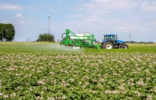 Teelspecialist: risico phytophthora neemt nu toe