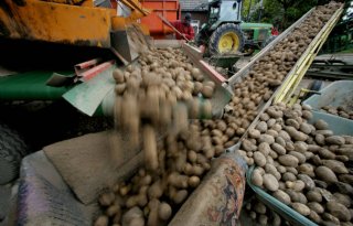 Aardappeltermijnmarkt zakt door 30 euro grens