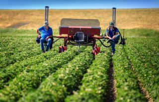 Friese landbouw furieus over ontpolderingsplan in Westhoek