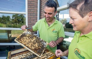 Ecopoll heeft vierhonderd bijenvolken in huis
