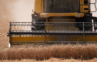 USDA voorspelt recordoogst en recordverbruik tarwe