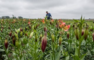 Vruchtbare Kringloop Overijssel start plantaardige studiegroep