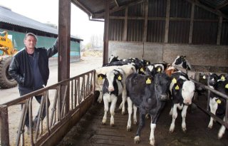Willem van Laarhoven: volwassen koe produceert bovengemiddeld