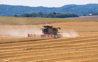 Hogere oogstprognose drukt tarweprijs