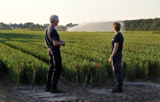 Waterschap tipt vijfduizend boeren over watertekort
