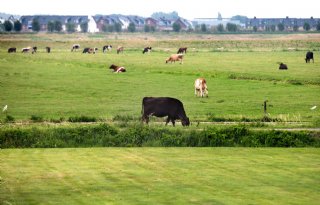 7 miljoen euro voor bodemkwaliteit Zuid-Hollandse gebieden