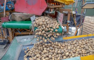 Bestemmingen leidend bij notering PotatoNL