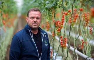 In 20 jaar groeien naar 180 hectare tomaat