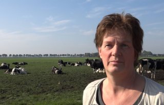 LTO-bestuurder knap nijdig over veehouderijslot Groningen