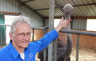 Struisvogelhouder+hoopt+op+nieuwe+hype