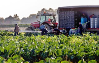 Miljoen euro voor veilig werken in land- en tuinbouw