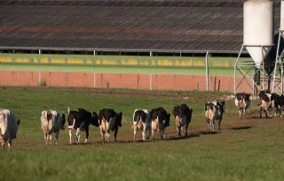 Colruyt wil vaste melkprijs voor vijf jaar