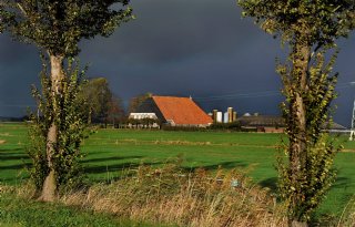 Friesland+trekt+600%2E000+euro+uit+voor+herstel+boerderijdaken