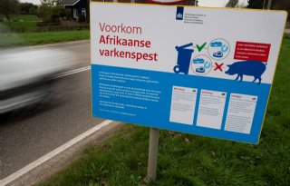 Afrikaanse varkenspest breidt verder uit in België