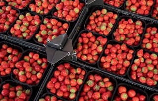 Fruit Logistica verschuift naar mei 2021 en past concept aan