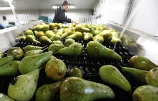Minder fruit op voorraad in België