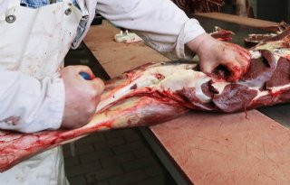 Slachthuis vervolgd vanwege rommelen met paardenvlees