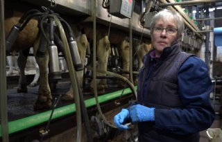 65%2Djarige+Mieke+Braamse+melkt+na+carri%C3%A8reswitch+koeien